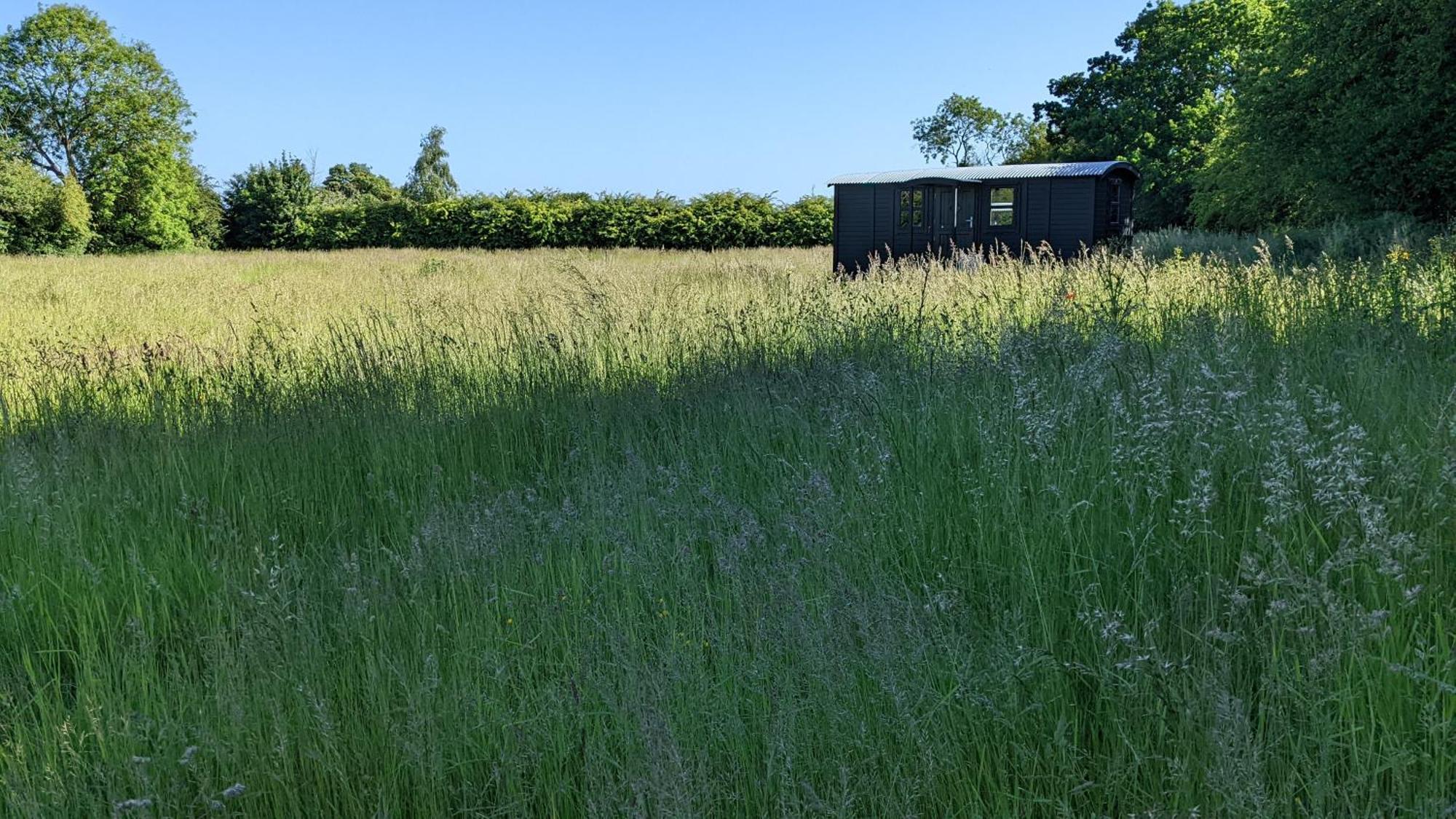 Blue Sky Huts Hotel Chediston Buitenkant foto